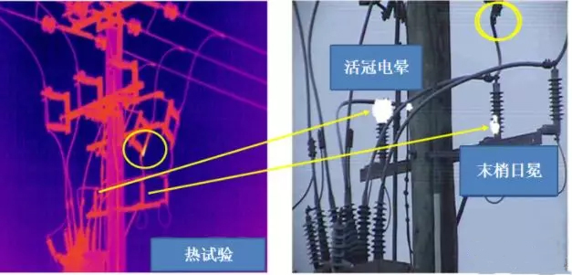 新博2娱乐(中国区)官方网站